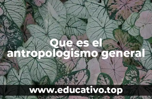 Que es el antropologismo general