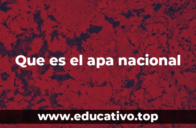 Que es el apa nacional