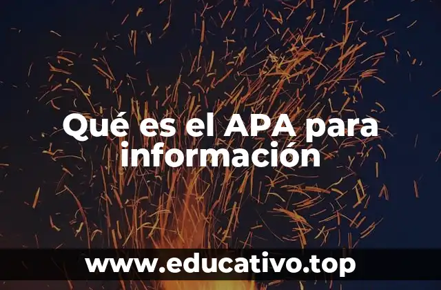 Qué es el APA para información