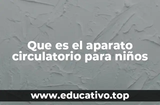 Que es el aparato circulatorio para niños