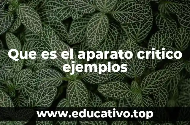 Que es el aparato critico ejemplos