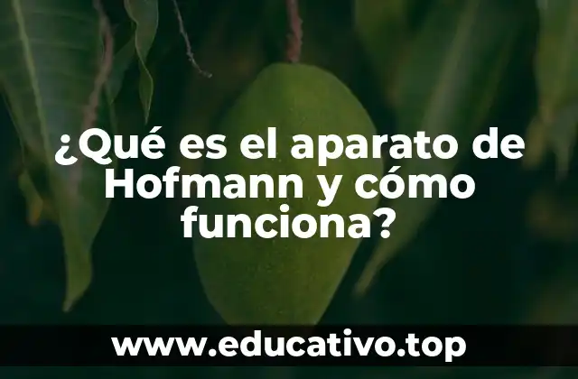 ¿Qué es el aparato de Hofmann y cómo funciona?