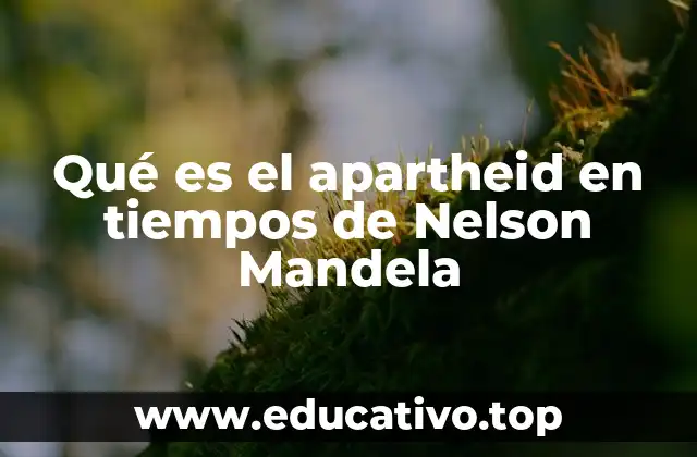 Qué es el apartheid en tiempos de Nelson Mandela