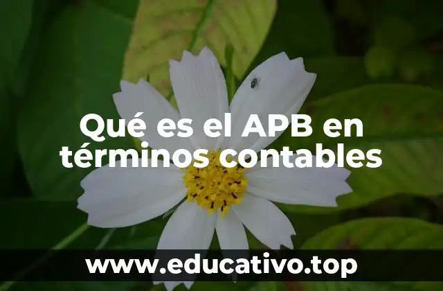Qué es el APB en términos contables