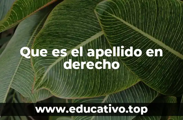 La importancia del apellido en la identidad legal