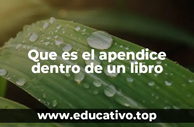 Que es el apendice dentro de un libro