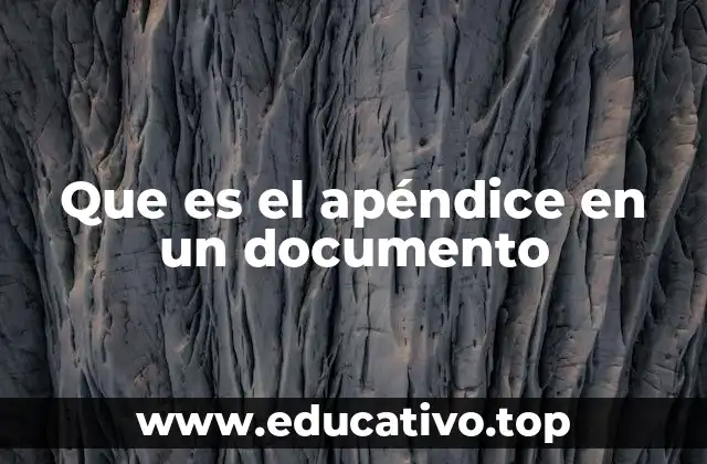 Que es el apéndice en un documento