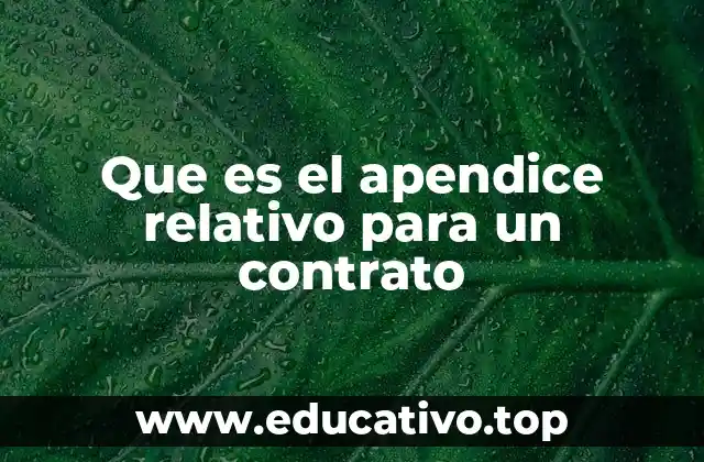 Que es el apendice relativo para un contrato