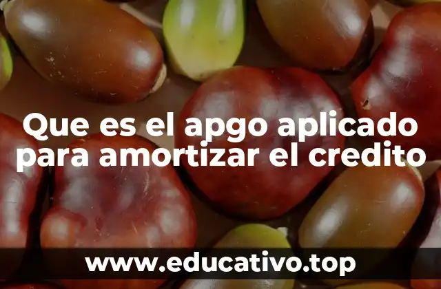 Que es el apgo aplicado para amortizar el credito