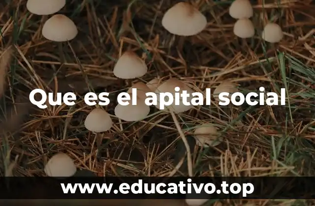 Que es el apital social