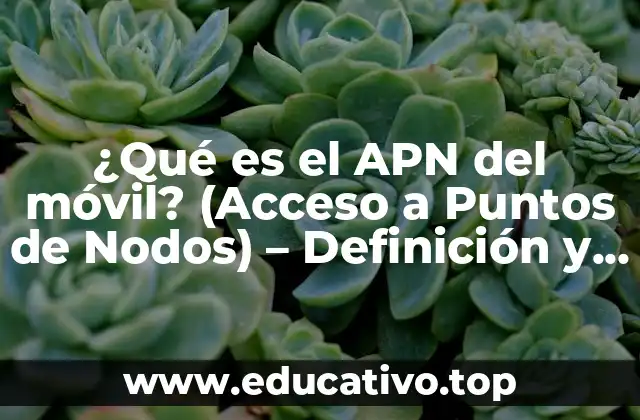 ¿Qué es el APN del móvil? (Acceso a Puntos de Nodos) – Definición y Configuración