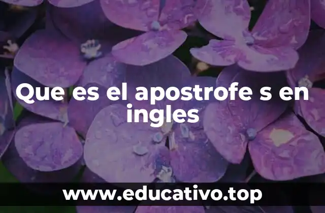 La importancia del apóstrofe s en la gramática inglesa