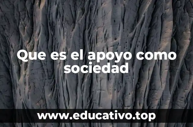 Que es el apoyo como sociedad