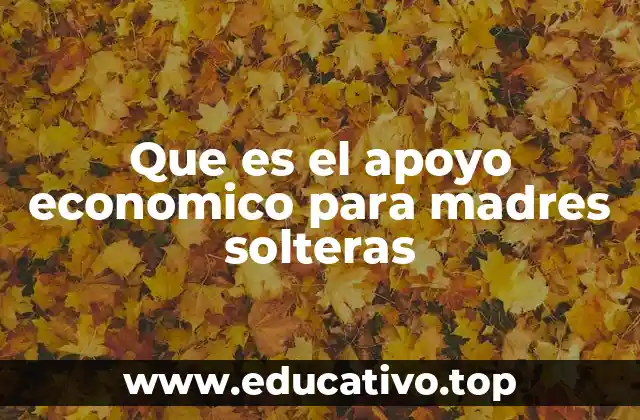 Que es el apoyo economico para madres solteras
