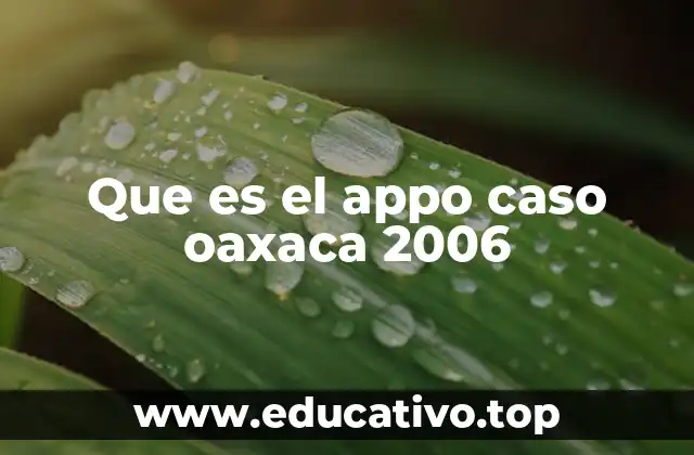 Que es el appo caso oaxaca 2006