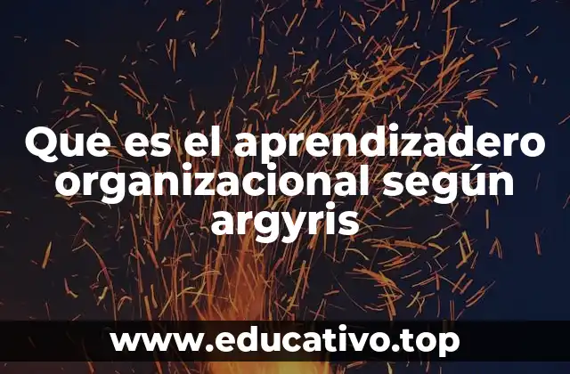 Que es el aprendizadero organizacional según argyris