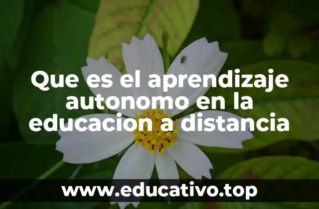 Que es el aprendizaje autonomo en la educacion a distancia