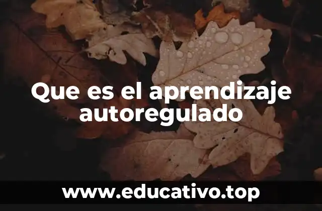 Que es el aprendizaje autoregulado