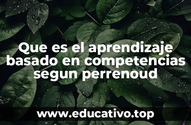 Que es el aprendizaje basado en competencias segun perrenoud