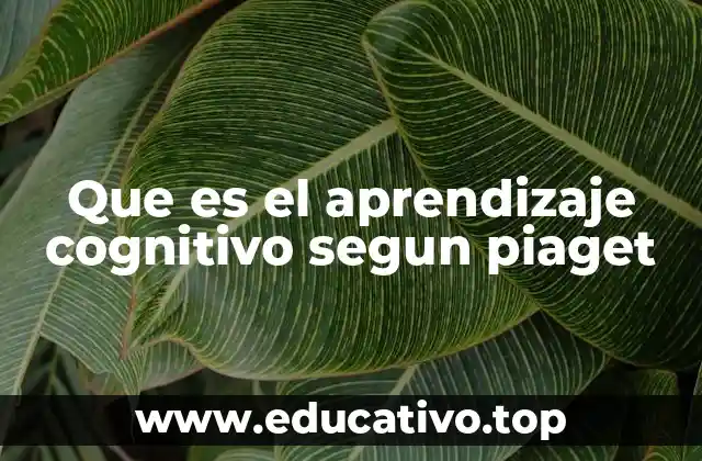 Que es el aprendizaje cognitivo segun piaget