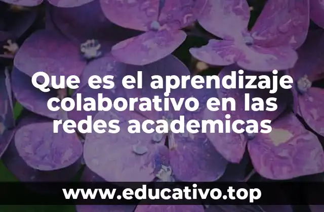 Que es el aprendizaje colaborativo en las redes academicas