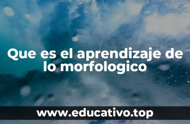 Que es el aprendizaje de lo morfologico