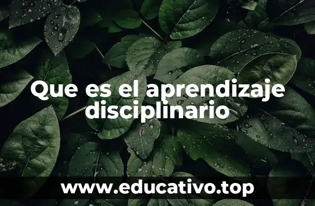 Que es el aprendizaje disciplinario