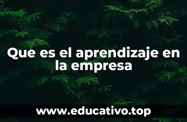 Cómo el aprendizaje transforma a las organizaciones