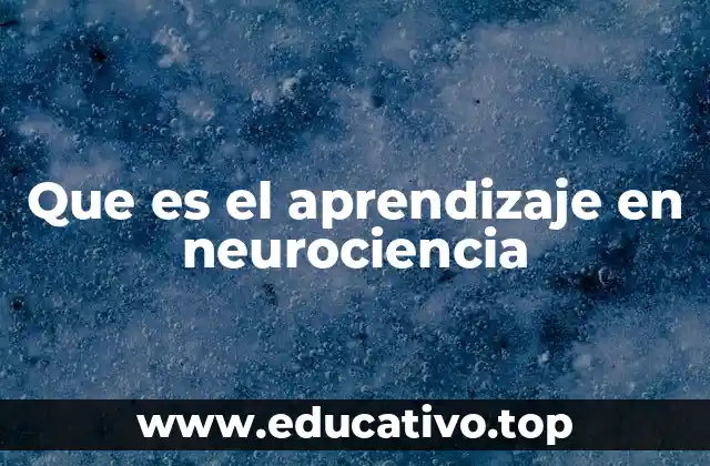 El cerebro detrás del aprendizaje