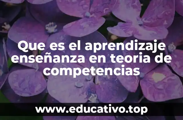 Que es el aprendizaje enseñanza en teoria de competencias