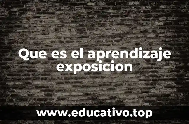 Que es el aprendizaje exposicion
