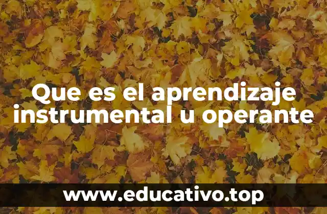 Que es el aprendizaje instrumental u operante