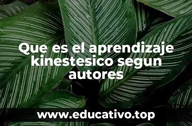 Que es el aprendizaje kinestesico segun autores