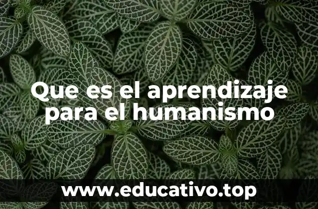 El enfoque pedagógico centrado en el individuo