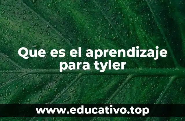 Que es el aprendizaje para tyler