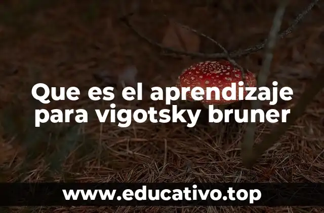 Que es el aprendizaje para vigotsky bruner