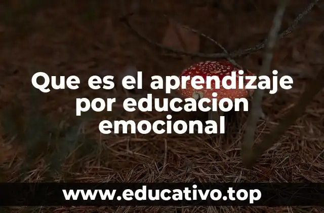Que es el aprendizaje por educacion emocional