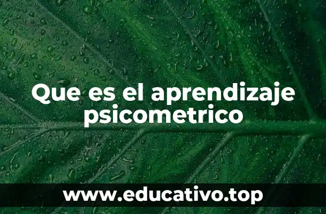 Que es el aprendizaje psicometrico