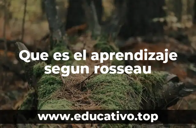 Que es el aprendizaje segun rosseau