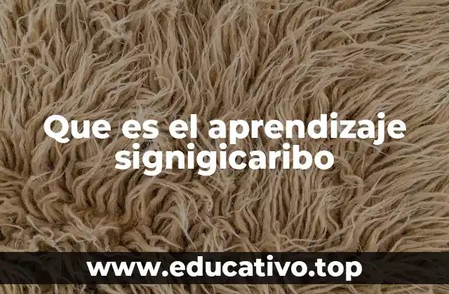 Que es el aprendizaje signigicaribo