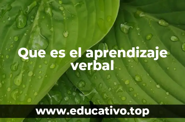 Que es el aprendizaje verbal