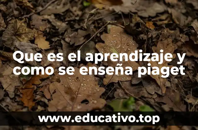 Que es el aprendizaje y como se enseña piaget