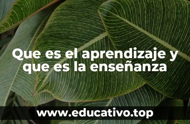 Que es el aprendizaje y que es la enseñanza