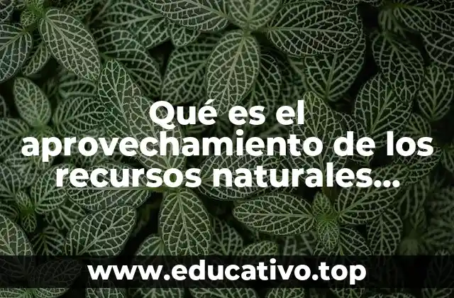El equilibrio entre el desarrollo y la conservación del entorno