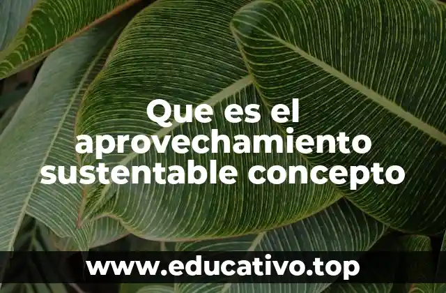 Que es el aprovechamiento sustentable concepto
