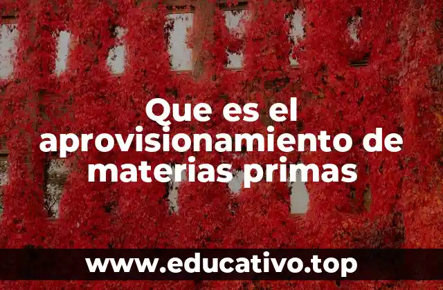 Que es el aprovisionamiento de materias primas