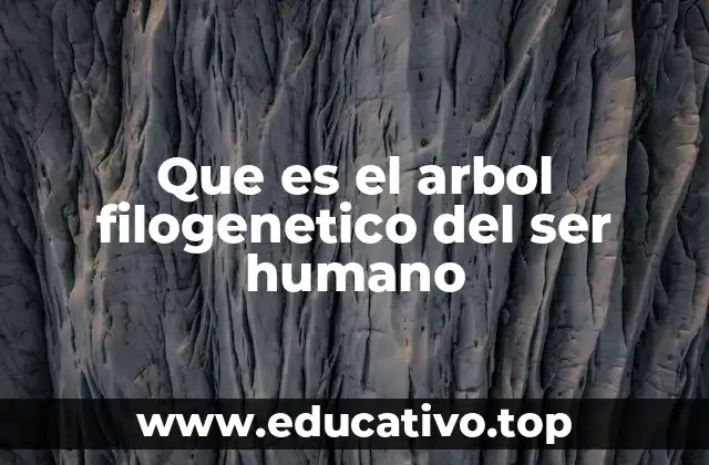 Que es el arbol filogenetico del ser humano