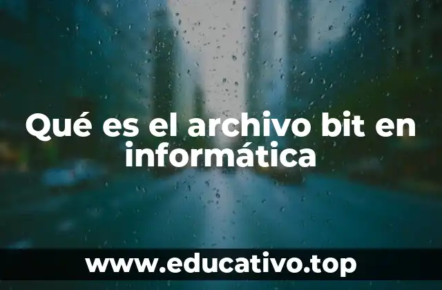 Qué es el archivo bit en informática