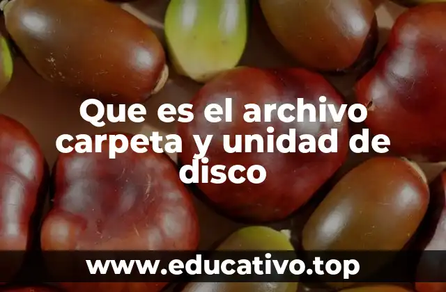 Que es el archivo carpeta y unidad de disco