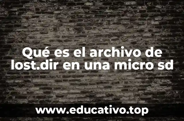 Qué es el archivo de lost.dir en una micro sd